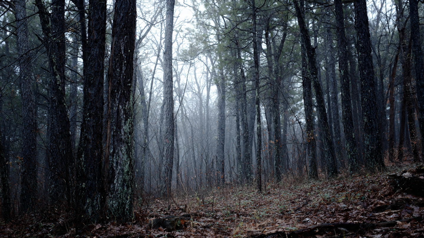 Read more about the article What Evidence Proves Bigfoot Exists?