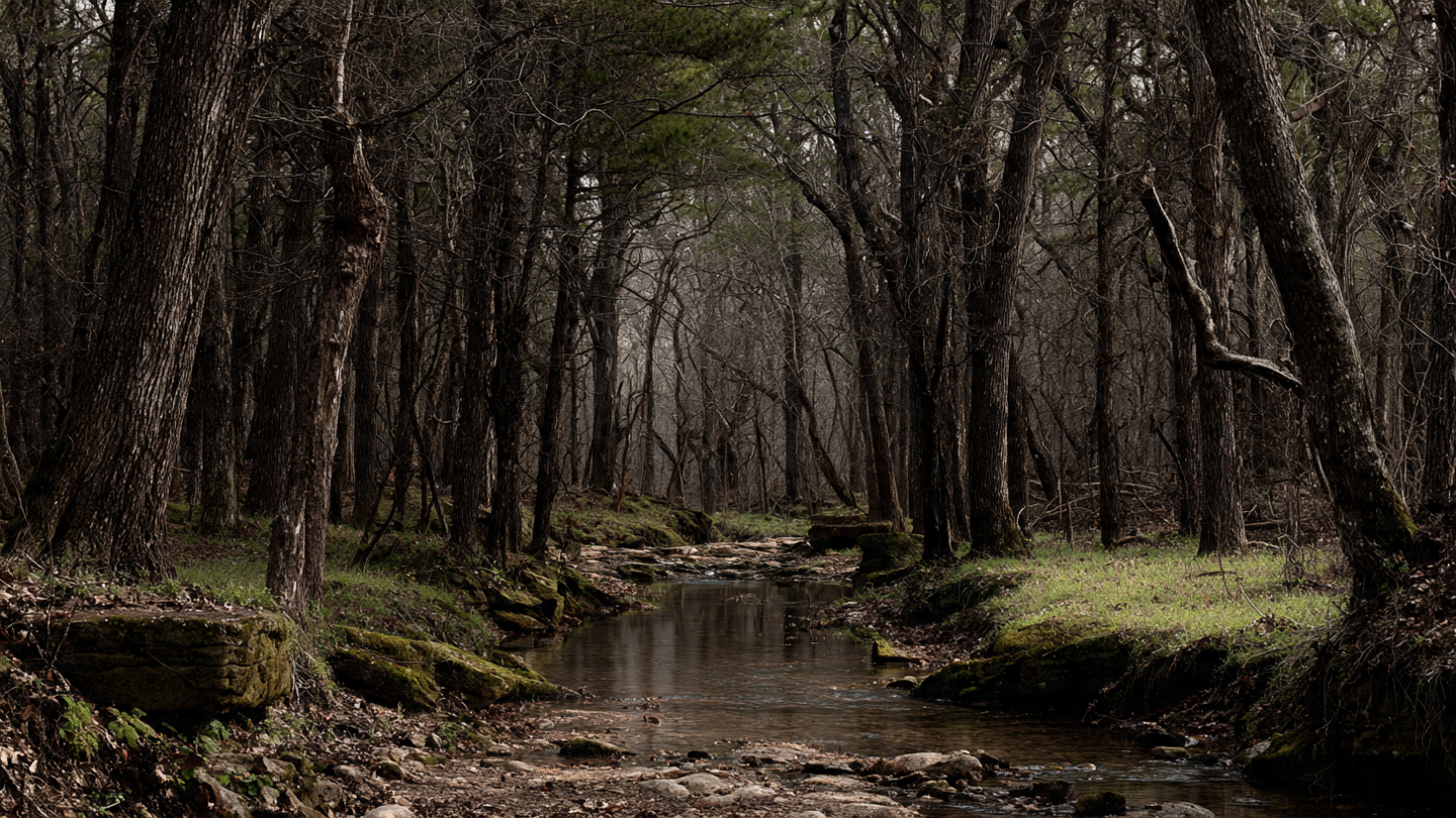 Read more about the article Do Bigfoot Have Cultural Practices?