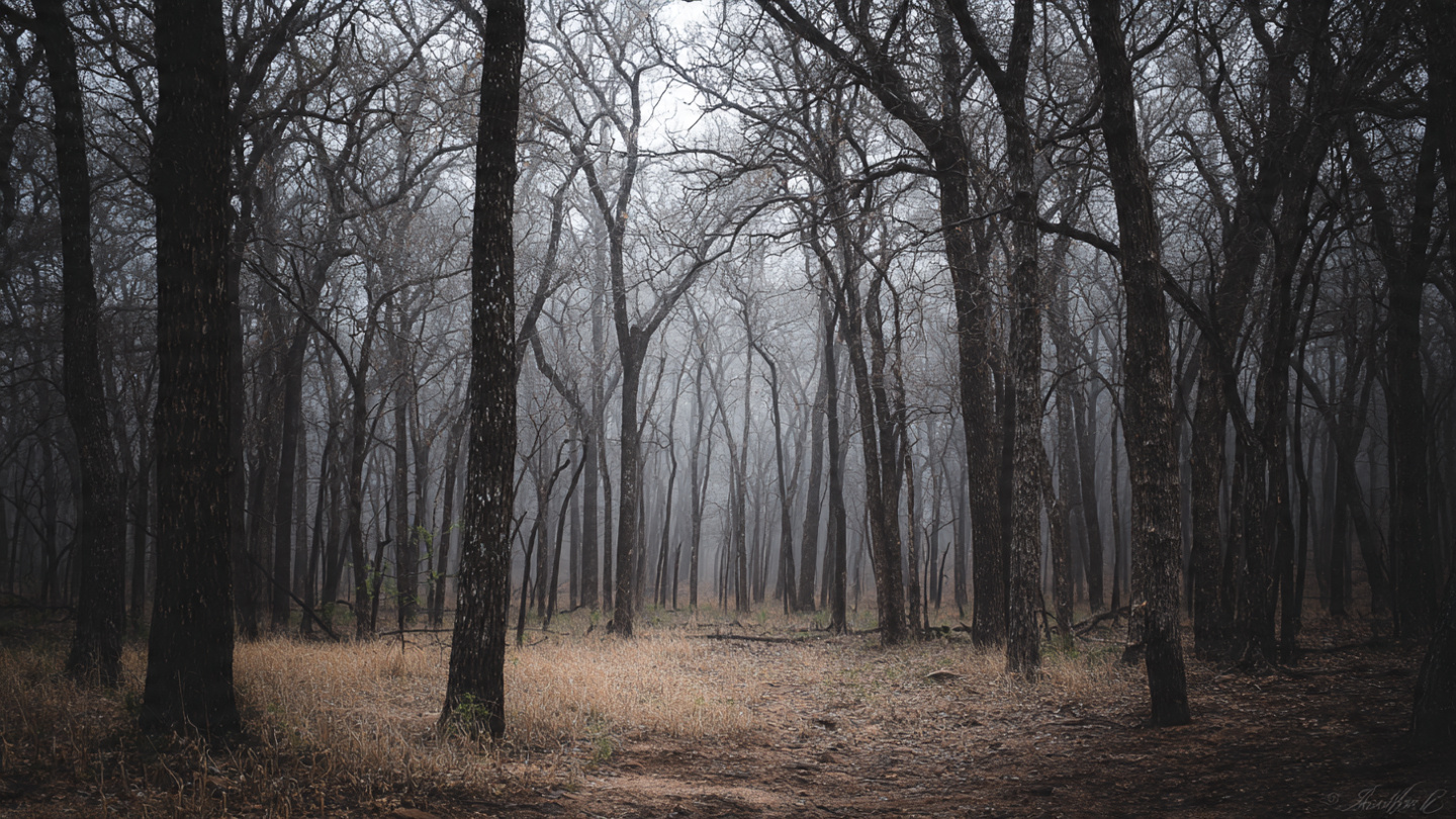 Read more about the article Where Do Bigfoot Researchers Gather?