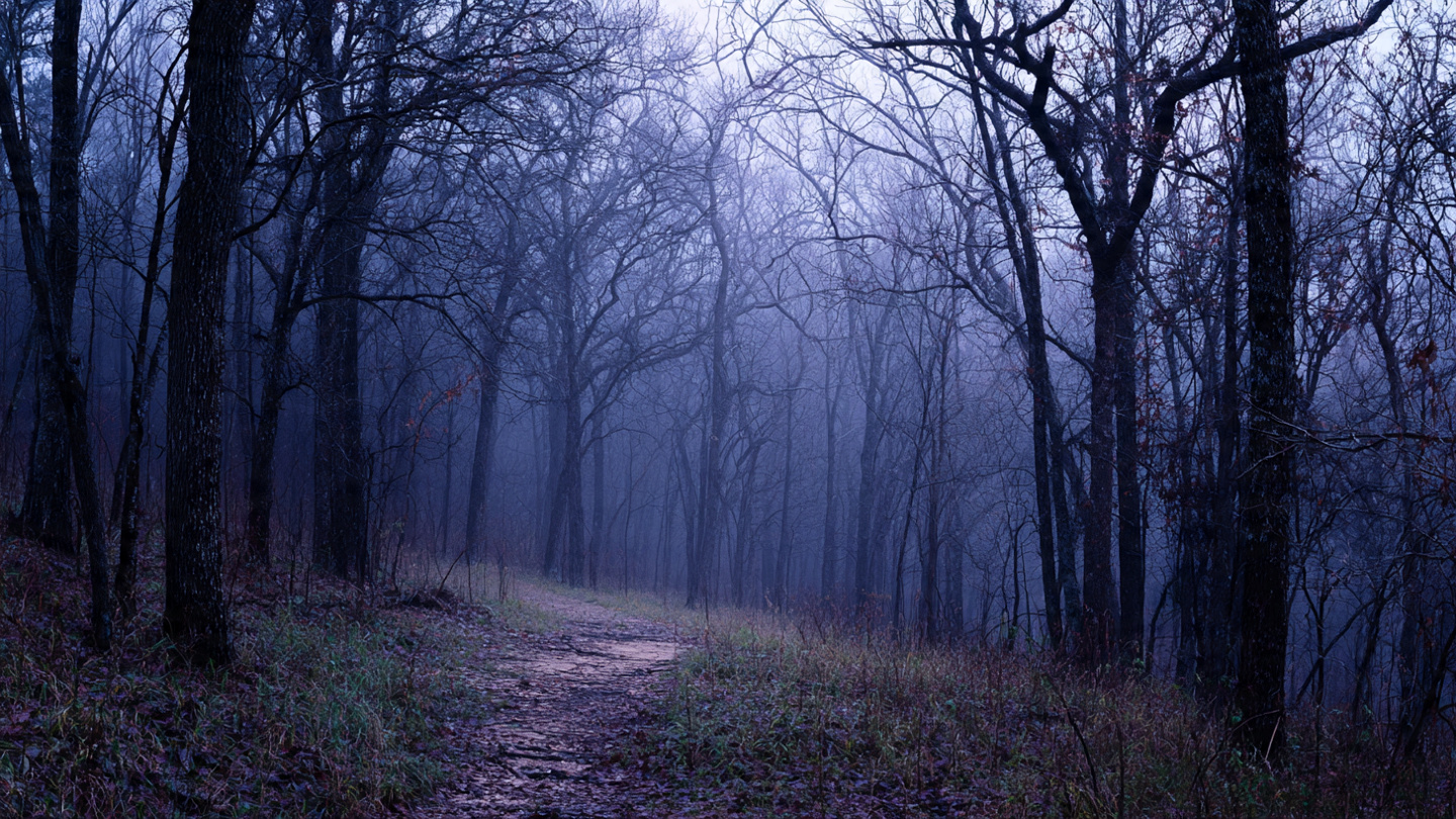 Read more about the article How to Join Bigfoot Expeditions?